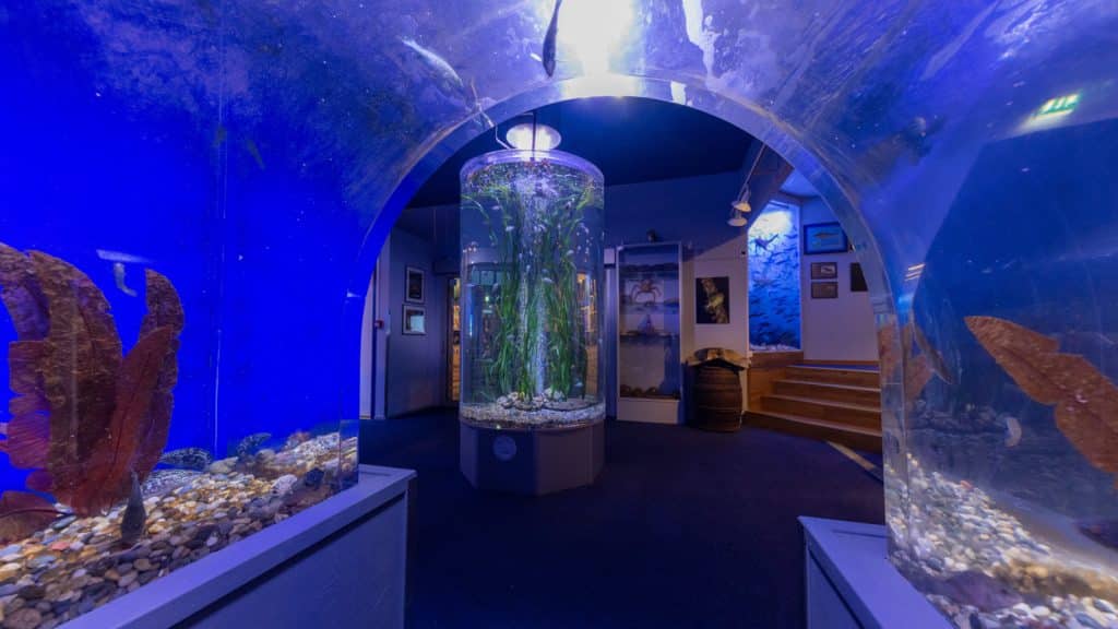 Barnetunnell i et akvarium