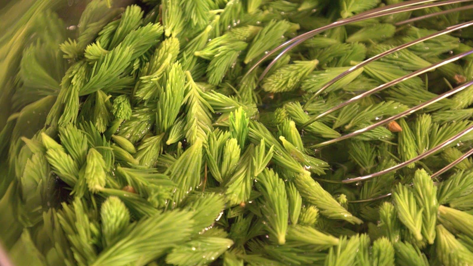 Traditional hiking foods