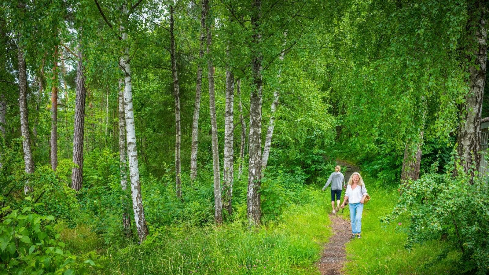 Turer i Asker og Bærum