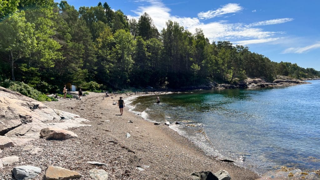 Steinete strand med skog og fjord