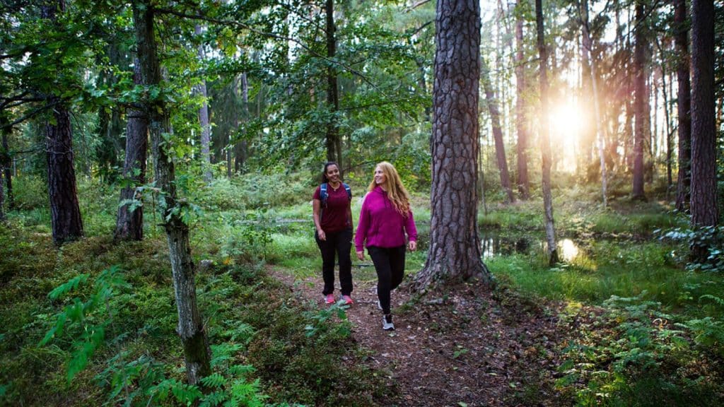 To jenter som går på tur i skogen