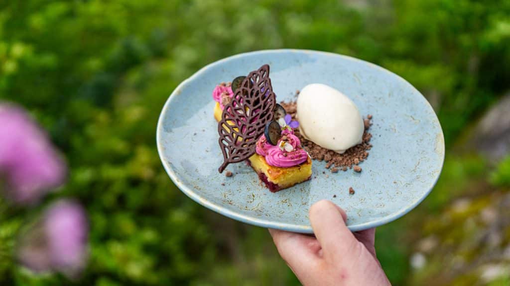 Dessert med iskrem med gress i bakgrunn