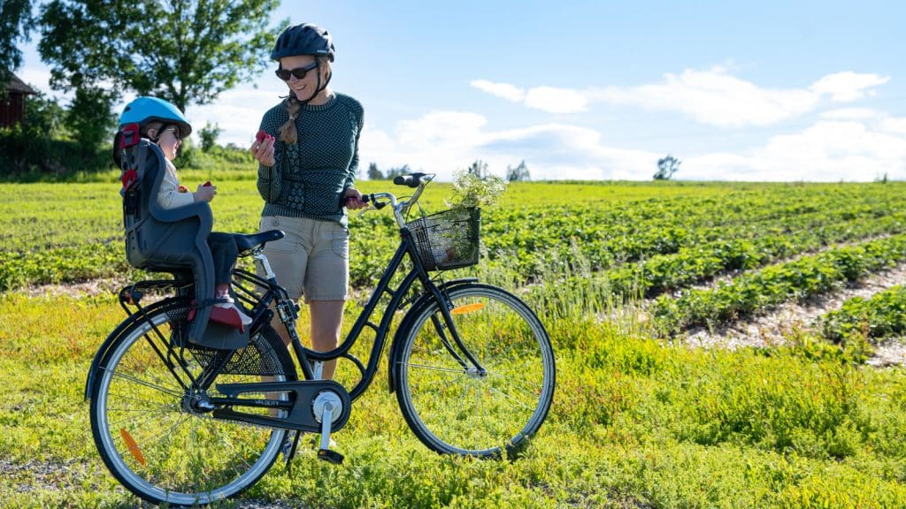 Mor og datter som står ved sykkelen og spiser jordbær med hjelm på hodet ved jordbæråker