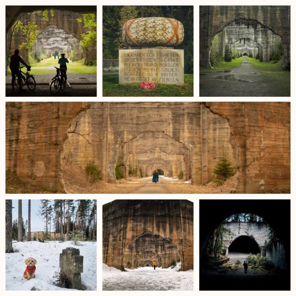 Bildecollage Trandumskogen