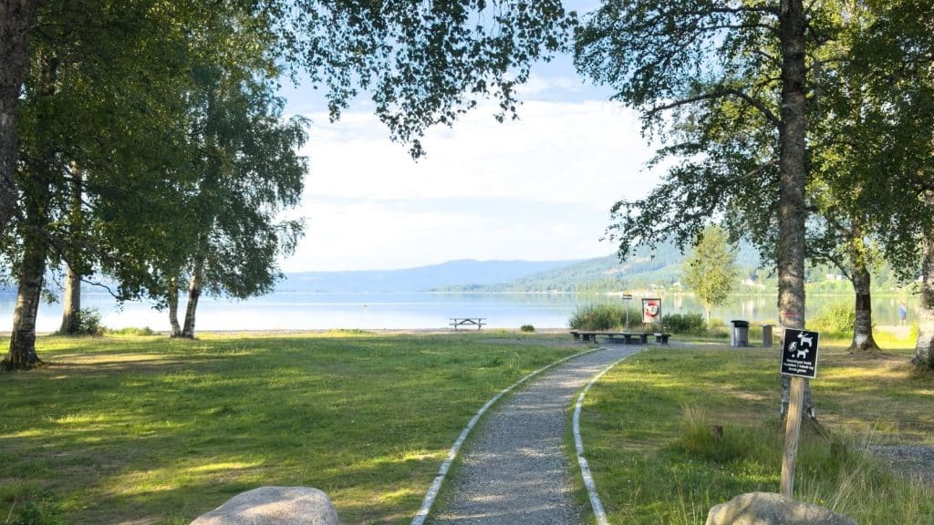 strand med grønn plem