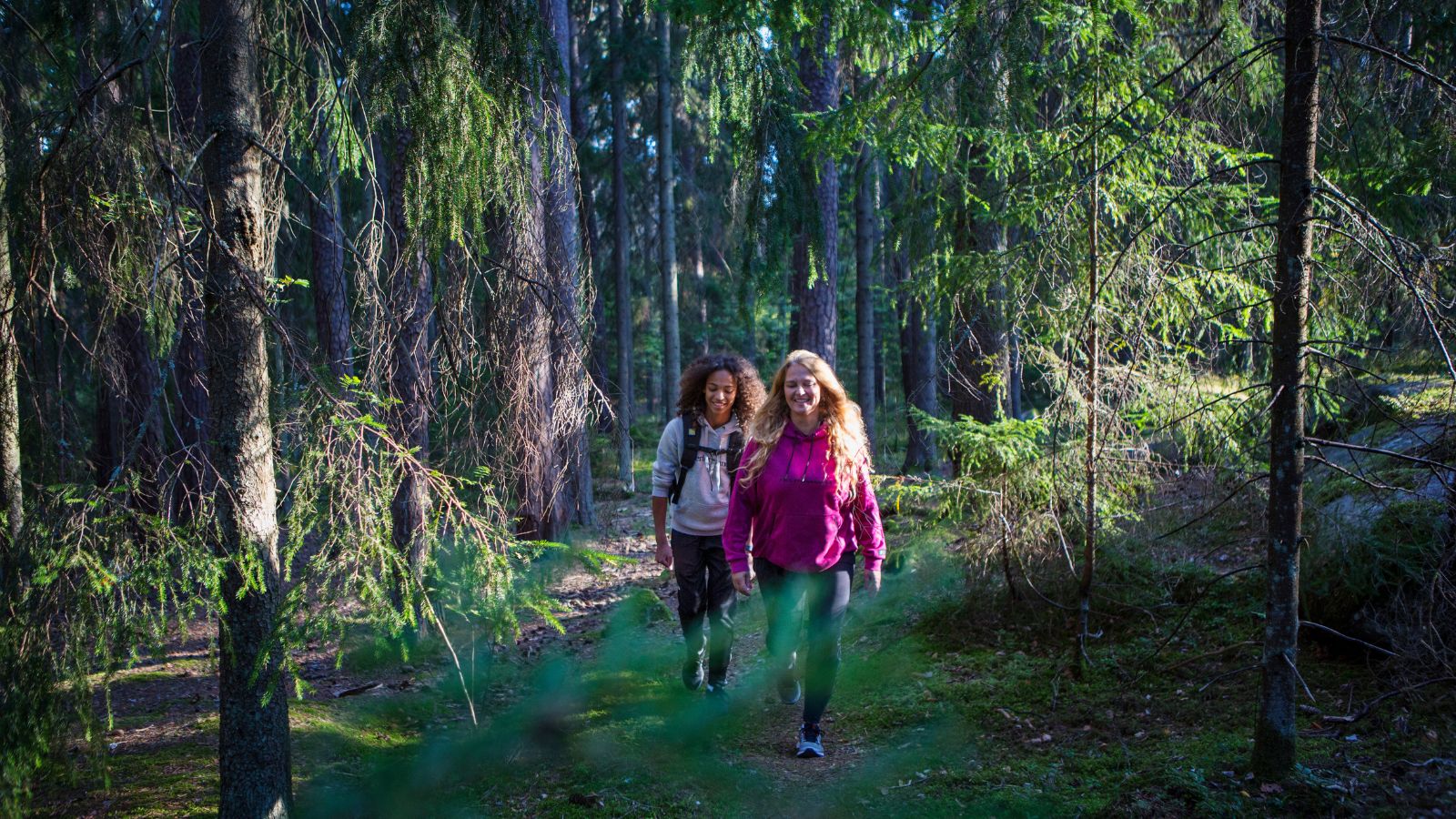 2 damer som vandrer i en skog